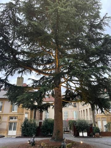 La Cour De La Tresorerie Metz Dış mekan fotoğraf